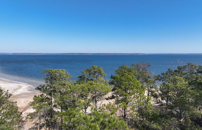 A serene view of a beach with calm blue waters under a clear sky. The shoreline curves gently, bordered by lush green trees. The horizon stretches into the distance, separating the water from the sky.